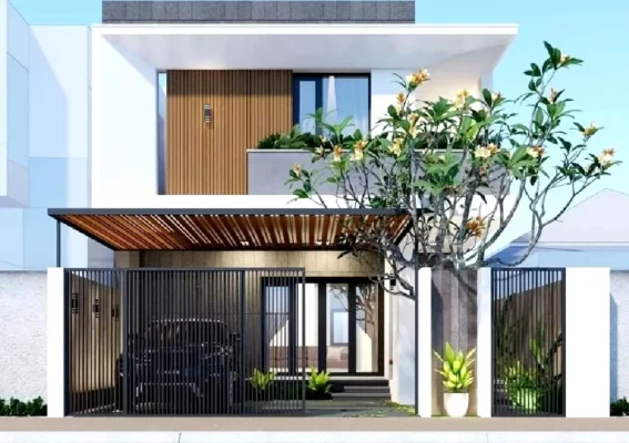 nen trong cay canh gi truoc cua nha de tranh xui xeo 15.jpg